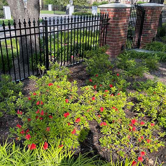 Fences and Gates