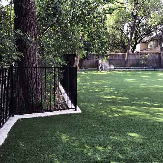 Fences and Gates