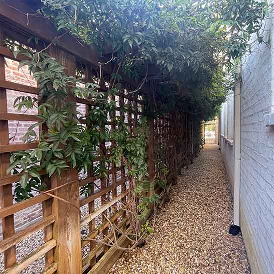 Pergola / Arbor